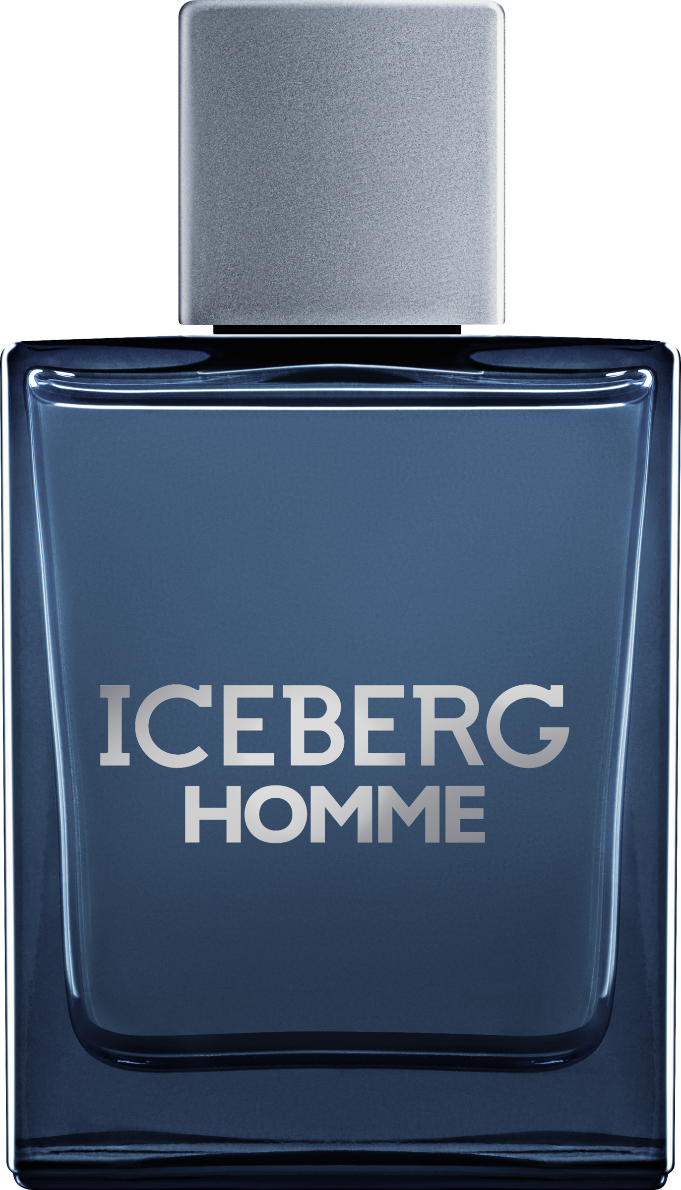 Iceberg Iceberg Homme, EdT 100ml