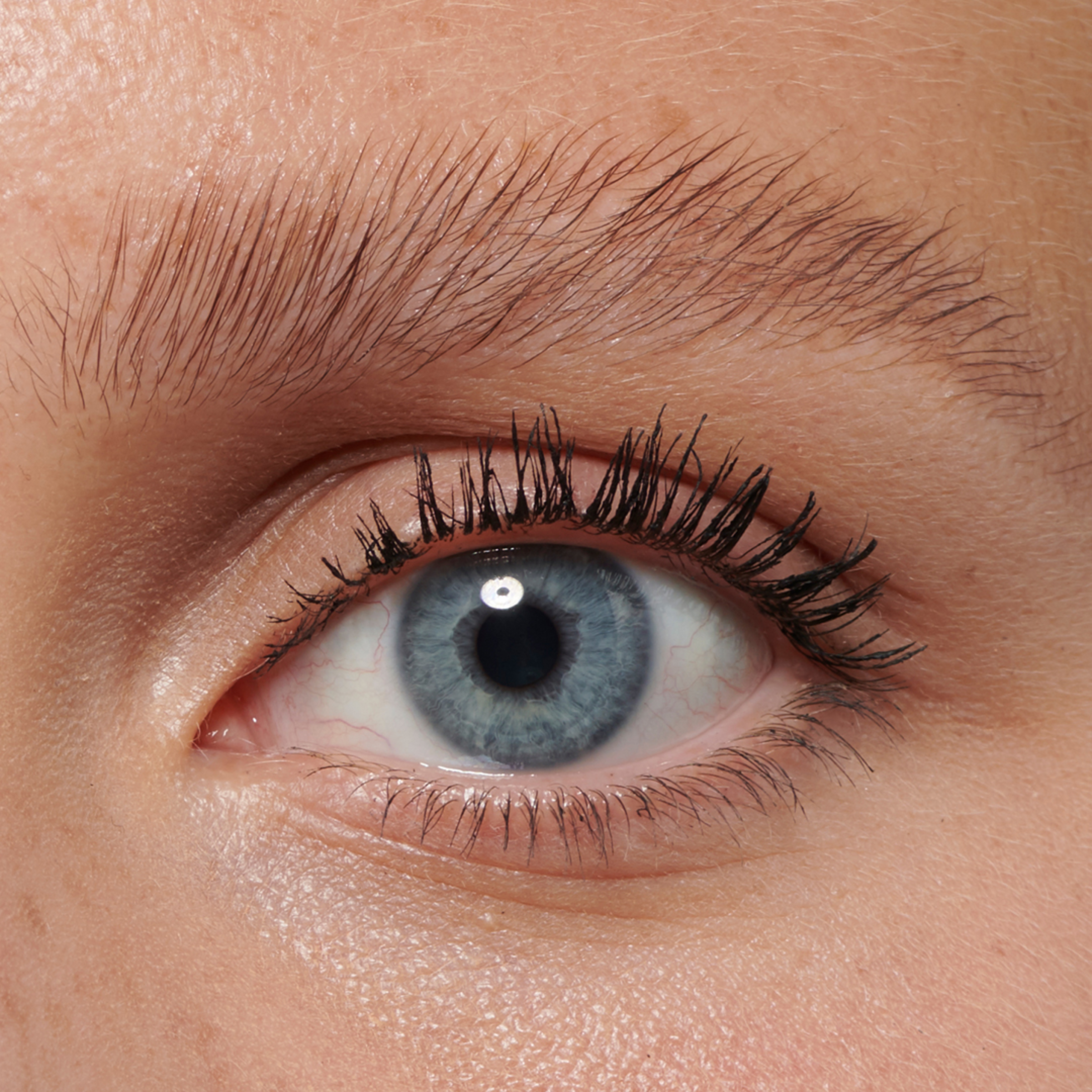 Revolution Makeup Revolution Laminate Brow Bronde Køb online rossmann.dk