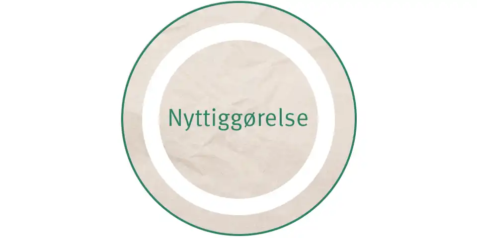Nyttiggørelse